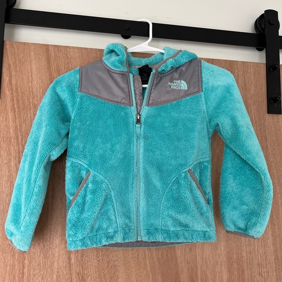 The North Face Other - North Face Hoodie jacket girls size XS